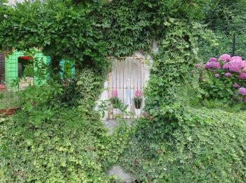 Trail On foot Varisella - IT-045 - Photo