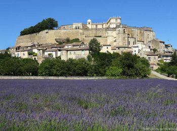 Randonnée Marche Grignan - Grignan Les Montines 9km5 - Photo