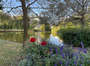 Percorso Marcia Meudon - forêt domaniale de Meudon (1) - Photo