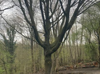 Randonnée Marche Uccle - Kauwenberg - Photo