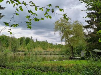 Tour Wandern Saint-Gobain - parcours Barisis-aux-bois - Photo