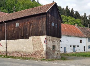 Percorso A piedi Wolfstein - Königsbachweg - Photo