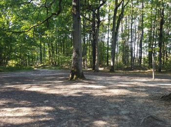 Tocht Stappen Milon-la-Chapelle - Yvelines_Milon-La-Chapelle=>Chemins_Beauregard&Jean-Racine=>Chevreuse - Photo