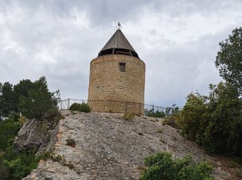 Tour Wandern Fontvieille - Autour de Fontvielle - Photo