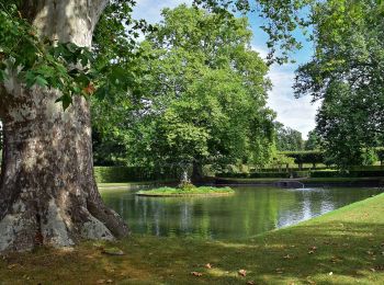 Excursión A pie Veitshöchheim - Würzburgs Stadtgrenze, 3. Teil - Photo