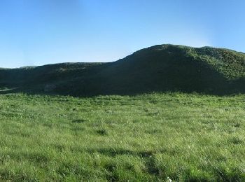 Randonnée A pied  - Linnéstig - Gamla uppsalavandringen - Photo