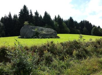 Excursión A pie Altmelon - Naturwanderweg - Photo