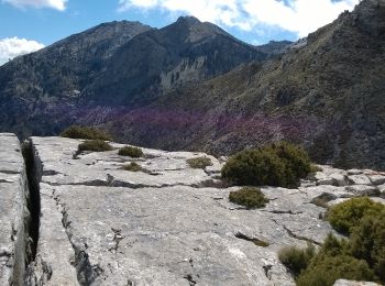 Trail On foot Yunquera - CAUCÓN-PEÑÓN DE LOS ENAMORADOS - Photo