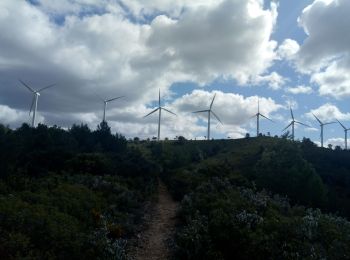 Trail Walking Névian - bizanet les eoliennes - Photo