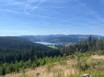 Tocht Elektrische fiets Titisee-Neustadt - Bärental, Altglashütte, Falkau, Saig, Neustadt Titisee - Photo