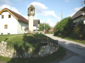 Trail On foot Gemeinde Alland - Allander Wanderweg 8 - Photo