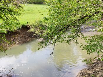 Excursión Senderismo Doische - Promenade de la Bonne-Fontaine   - Photo