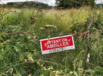 Tour Wandern Valorbiquet - La rando de Rollon - Photo