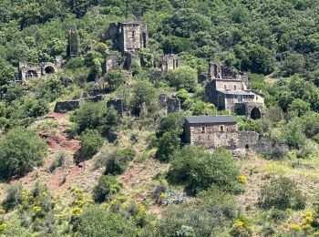 Randonnée sport Octon - Octon dolmen château chapelle 2024 - Photo