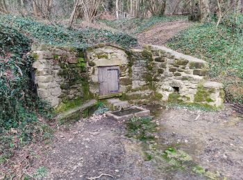 Tour Wandern Saint-Donat-sur-l'Herbasse - champo bois de sizey rb azur  - Photo