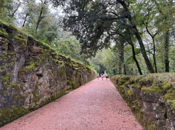 Trail Walking Vézac - Château de Marqueyssac - Photo