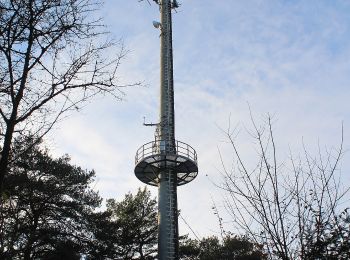 Randonnée A pied Hafenlohr - Kulturweg Marktheidenfeld 4 - Photo