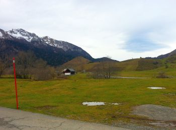 Percorso A piedi Bilhères - Le Plateau de Benou et les Cromlechs de Lous Couraus - Photo