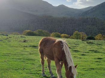 Tocht Stappen Arreau - cabane dee Esclottes 25 10 22 - Photo