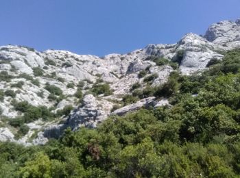 Tocht Stappen Saint-Antonin-sur-Bayon - le Garagai, signal  - Photo