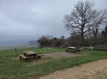 Tocht Stappen Sigy-le-Châtel - G3 sigy - Photo