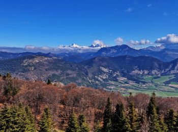 Randonnée Marche La Bâtie-des-Fonds - Roc De La Tour Via La Bâtie des Fonds - Source de la Drôme - Photo