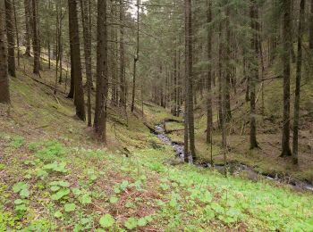 Tour Zu Fuß Klausen - IT-7A - Photo