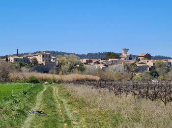 Tour Wandern Lecques - lecques-viclefesc-ND-Fontaned - Photo