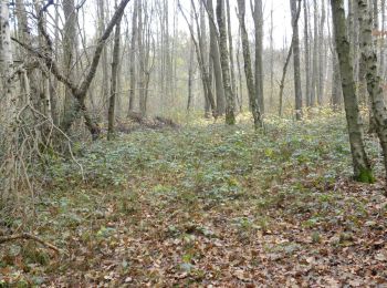 Randonnée A pied Nieuwerkerken - Gelukswandeling - Photo