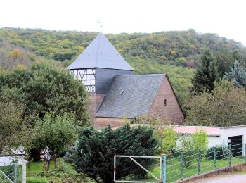 Tocht Te voet Sangerhausen - DE-Gelber Balken - Photo