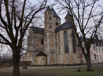 Tour Zu Fuß Dormagen - Knechtsteden Rundweg A7 - Photo