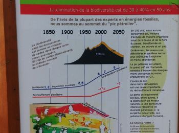 Tocht Stappen Vidauban - L'Eusclade et Chebreguin - Photo