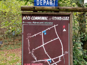 Randonnée Marche Gembloux - Promenade du bois de Grand-Leez et son étang  - Photo