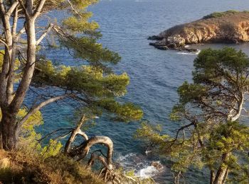 Tocht Stappen Bandol - Bandol-Port d'Alon - Photo