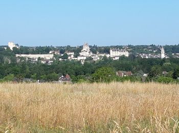 Trail Walking Loches - Beaulieu lès Loches - Photo