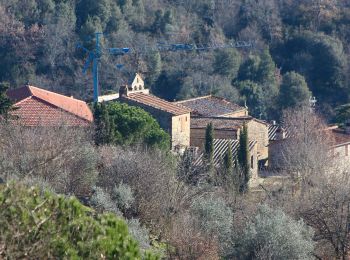 Percorso A piedi Monte San Savino - IT-113 - Photo