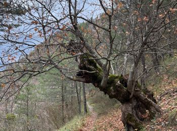 Tour Wandern Sorbiers - Balade chapelle st-honora - Photo