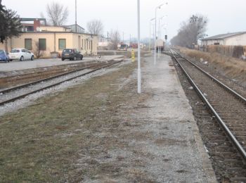 Tour Zu Fuß Gemeinde Guntramsdorf - Pro Consult Runde (Guntramsdorf) - Photo