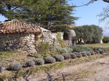 Trail Walking Saint-Michel-l'Observatoire - lincel - Photo