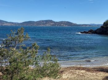 Trail Walking Hyères - La Madrague côté ouest - Photo