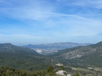 Tocht sport Le Castellet - CUGES LES PONS - Photo