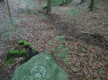 Randonnée A pied Sulzbach am Main - Schwarzer Keiler, Rundwanderweg Soden Wanderheim - Photo