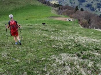 Excursión Senderismo Lalley - rando depuis col lus la croix haute  - Photo