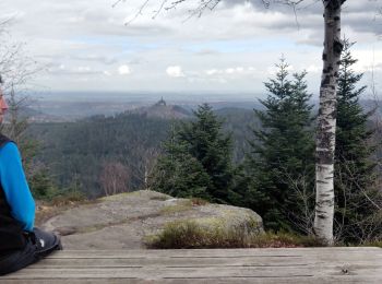 Tocht Stappen Wangenbourg-Engenthal - 2020-03-14 Marche Engenthal le bas - Photo