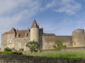 Trail Bicycle tourism Alise-Sainte-Reine - Alise-Sainte-Reine - Vandenesse - Photo