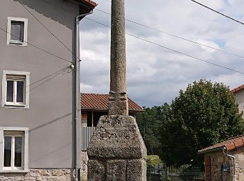 Randonnée A pied Ceilloux - Le Chemin du Bost - Photo