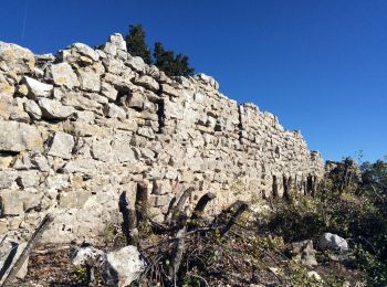 Tocht Stappen Rougiers - PF-Rougiers - L'Oppidum du Piégu-Le Castrum St Jean - Photo