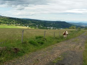 Trail Walking Picherande - Picherande - Besse St Anastaise  - Photo