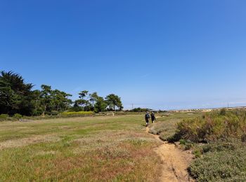 Trail Walking Lège-Cap-Ferret - boucle - Photo