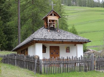 Excursión A pie San Martin de Tor - San Martino in Badia - St. Martin in Thurn - IT-5A - Photo